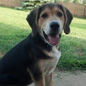 Meet your Posher, Trina